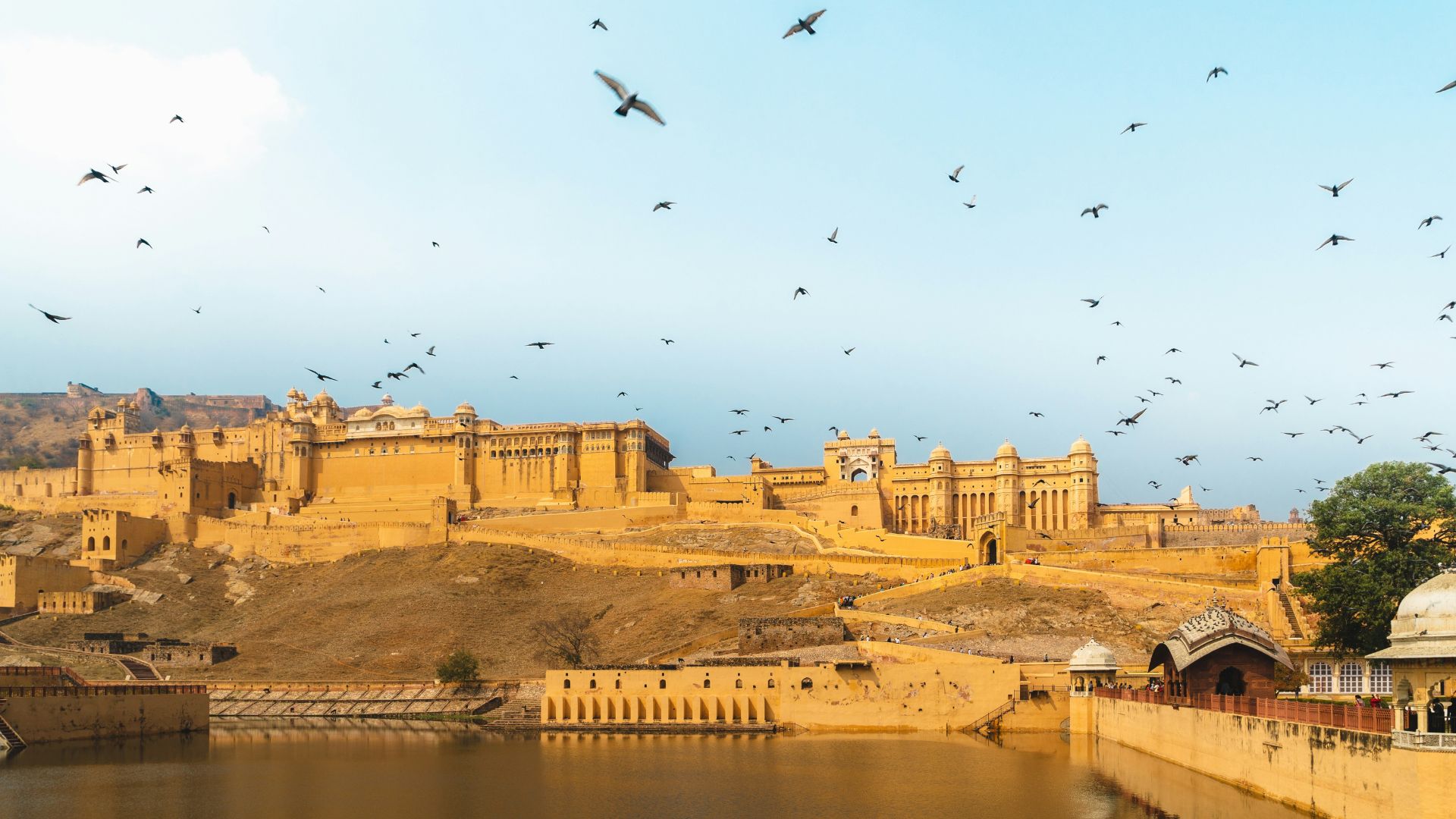 Couple experiencing India's heritage privately