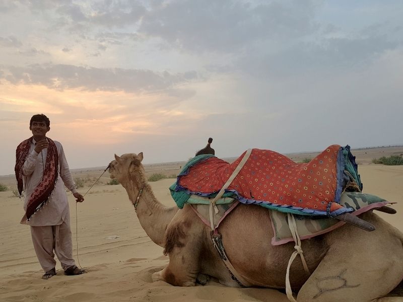 8-Day Rajasthan Desert & Forts Private Tour